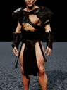 Viking Chest1 model preview