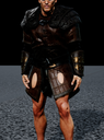 Viking Chest 3 c model preview