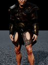 Viking Chest4 a model preview