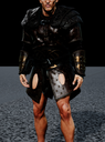 Viking Chest 3 c2 model preview