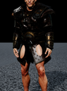 Viking Chest4 d model preview