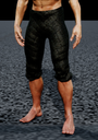 Iron Chainmail Leggings model preview